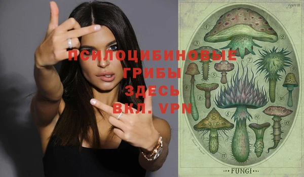 PSILOCYBIN Арсеньев