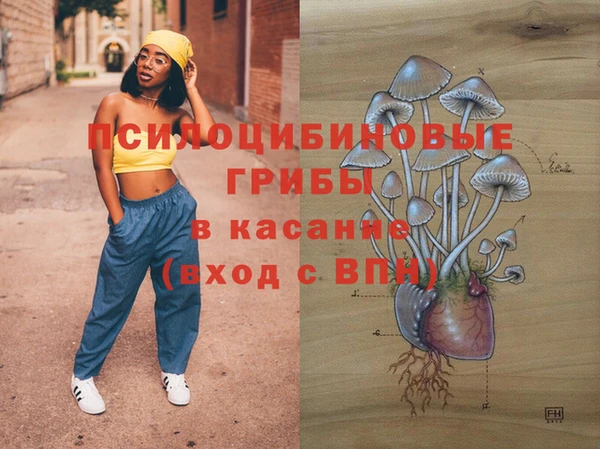 соль ск Армянск