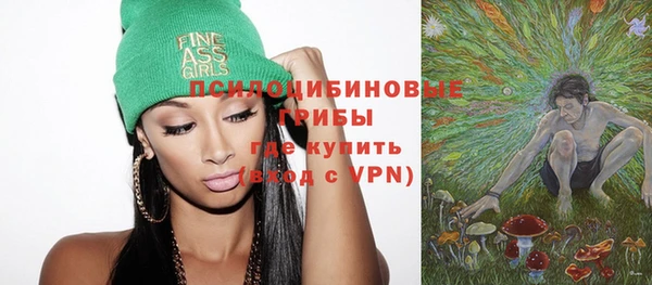 ГАЛЛЮЦИНОГЕННЫЕ ГРИБЫ Балабаново