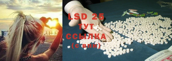 ГАЛЛЮЦИНОГЕННЫЕ ГРИБЫ Балабаново