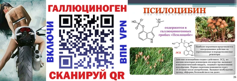 Псилоцибиновые грибы мицелий  MEGA ссылка  Верхнеуральск  купить  цена 